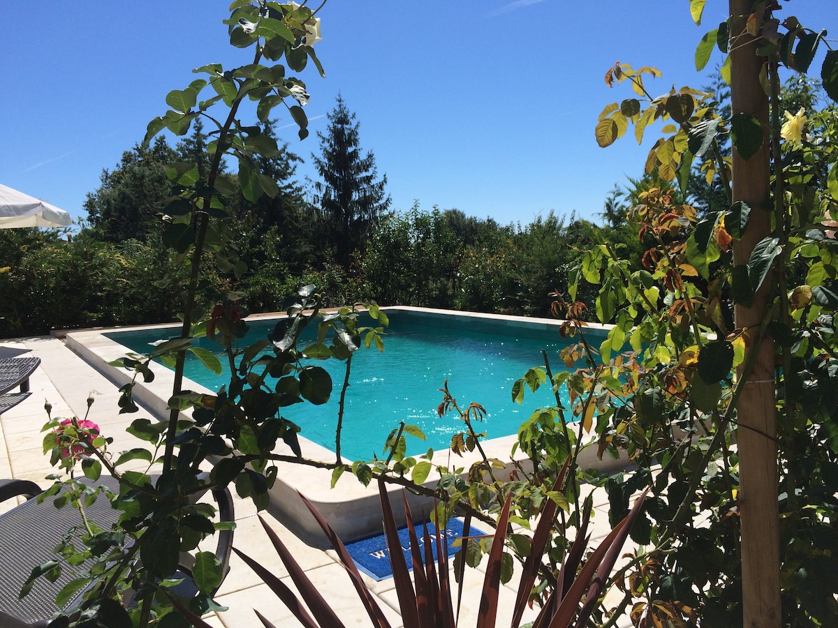 A serene swimming pool sits surrounded by lush greenery and vibrant flowers, with sunlight reflecting off the water's surface. The scene is framed by rose bushes and tropical plants, showcasing a peaceful outdoor retreat.