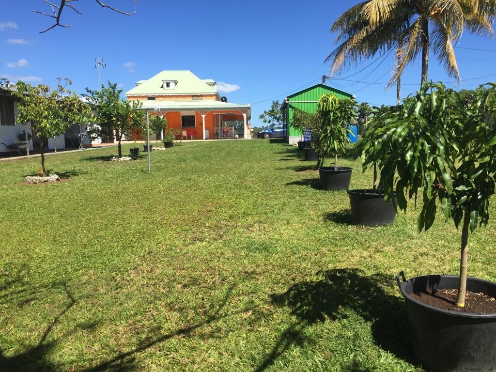 A spacious garden is presented, featuring several potted trees and a well-maintained lawn. Two colorful buildings are visible: a vibrant orange house with a green roof and a nearby green structure. The setting is bright and open, with a clear blue sky above.