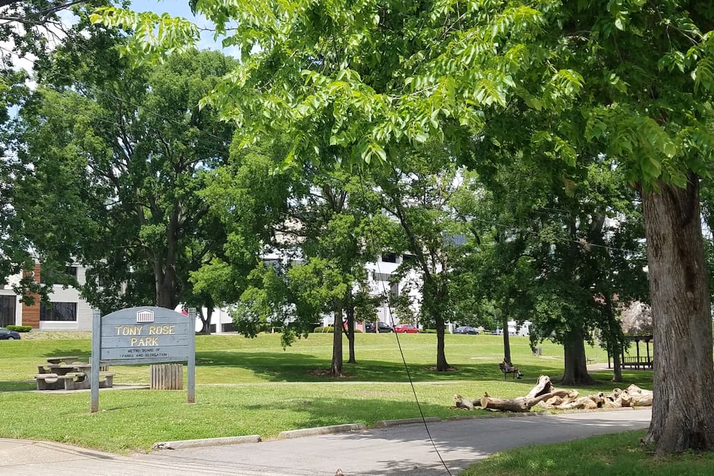 Tony Rosa Park, across the street! That's BMI on the other side of the street, behind the trees.