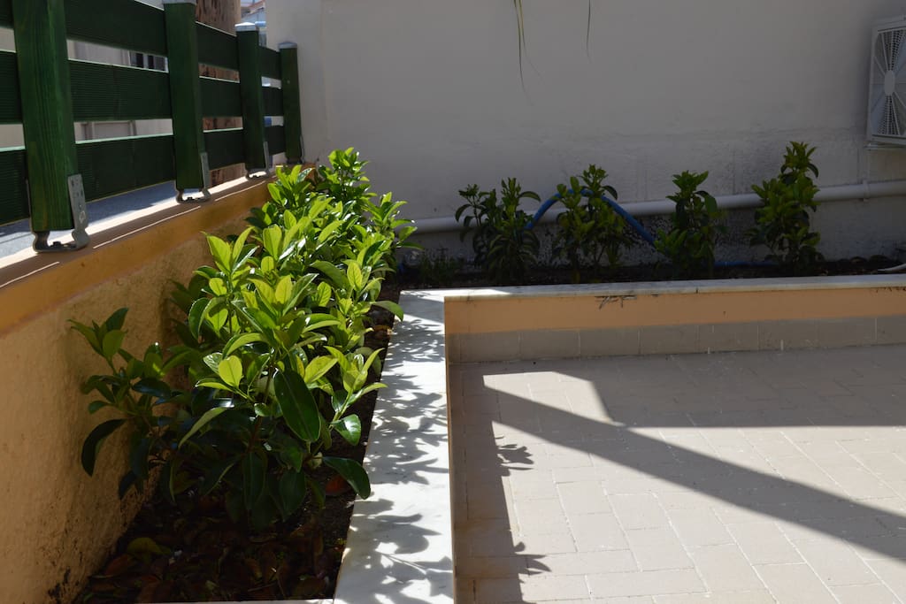 Courtyard