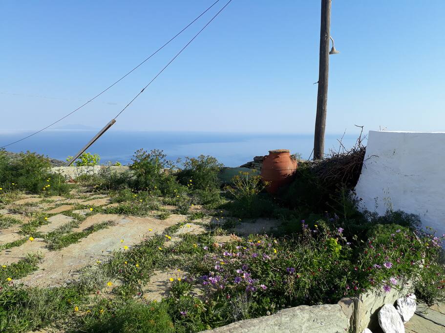 View from aloni.