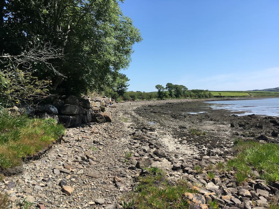 Pebble beach with low tide
