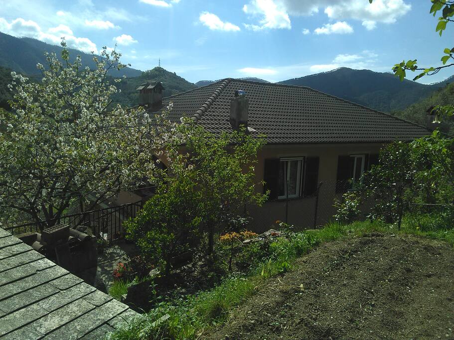 A view of the house