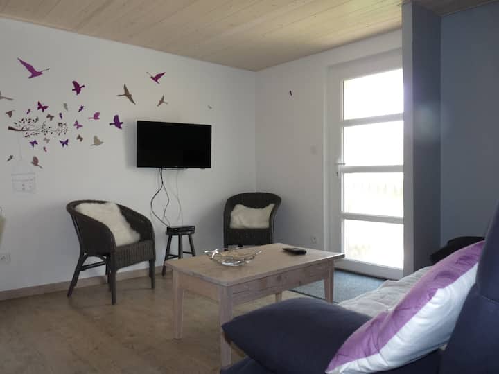 Appartement Flo Et Nico - Pontarlier