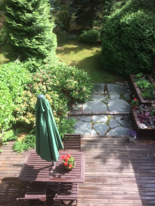 Private backyard scenery