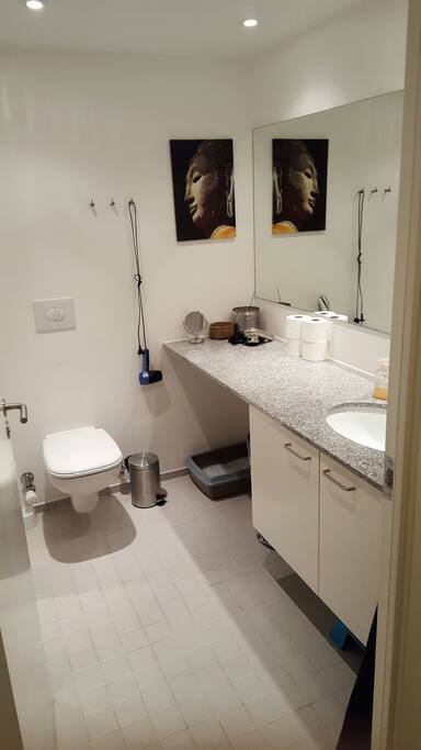 the bathroom , comes with a washer and dryer