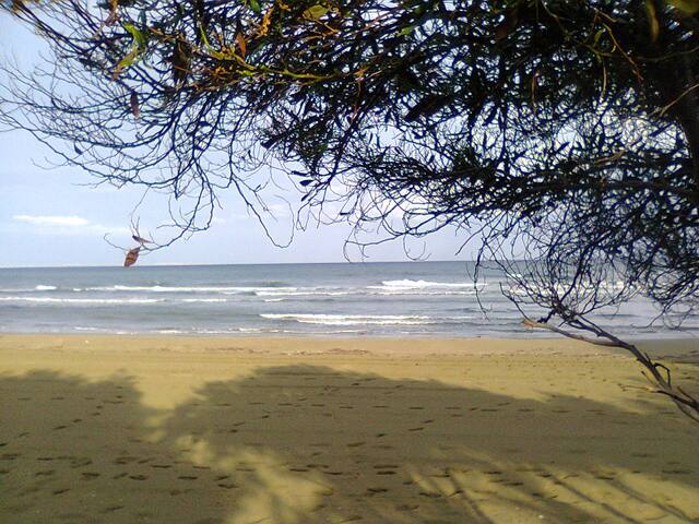 Sandy Beach Apartment