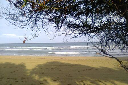 Sandy Beach Apartment