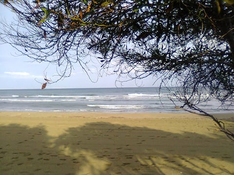 Sandy Beach Apartment