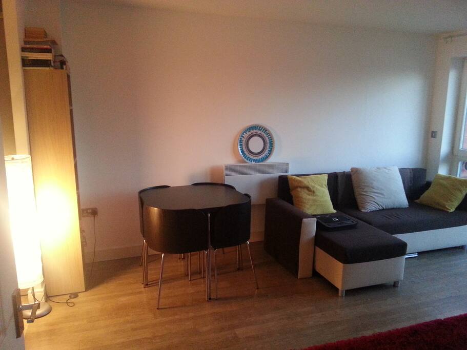Living room and sofa bed.