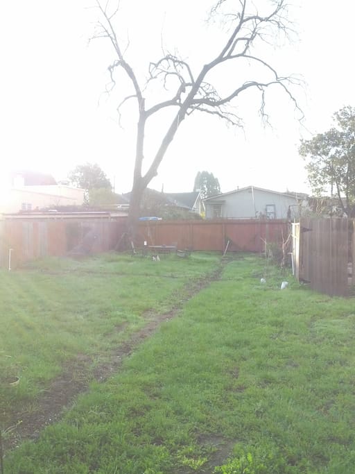 Huge backyard for relaxing or entertaining.
