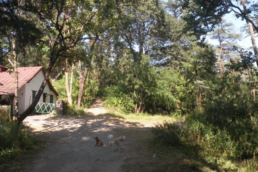 The drive and parking area outside the BRC.