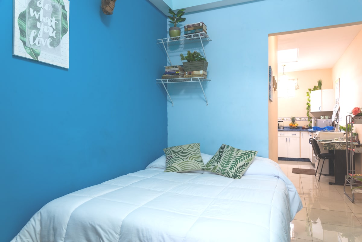 A bright blue wall accents a cozy sleeping area featuring a spacious bed with white bedding. Two decorative cushions with leafy patterns are placed on the bed. A small shelf is mounted on the wall, holding potted plants, and a glimpse of the kitchen is visible through an open doorway.