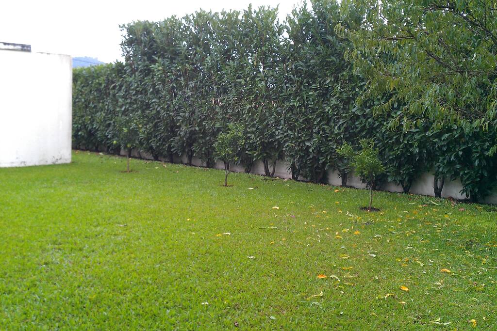 The Garden