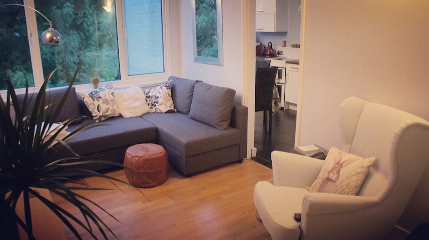Airbnb Windsor Holiday Rentals Places To Stay England