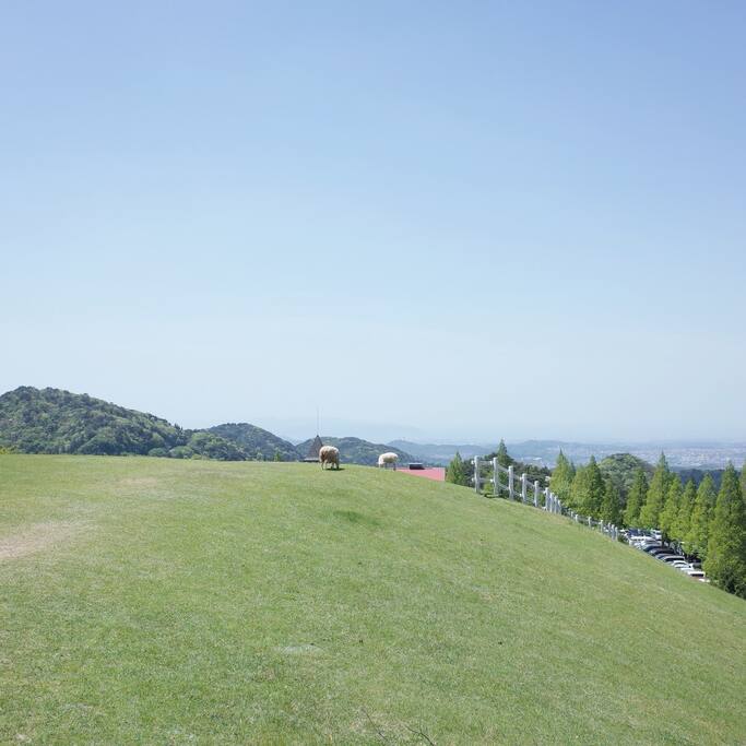 去神户六甲山牧场看小绵羊啰 神户旅游攻略 尽在airbnb爱彼迎 去神户六甲山牧场看小绵羊啰 神户旅游攻略 尽在airbnb爱彼迎