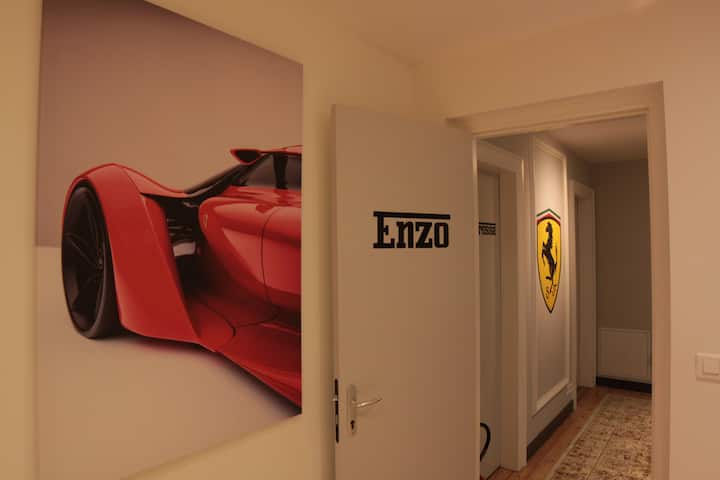 Стая „Ензо“