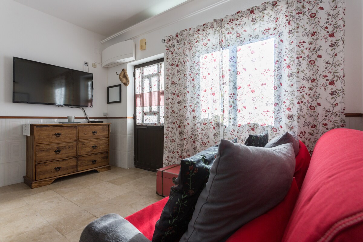 Living area with sofa bed (1.6x2.0 m)