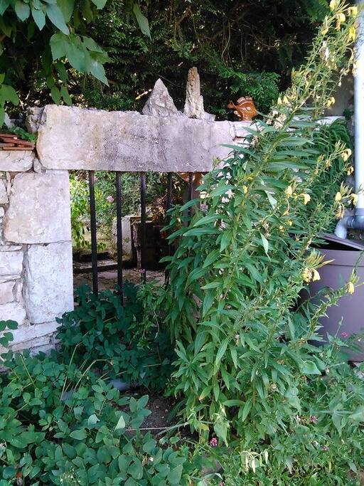jardin harmonieux