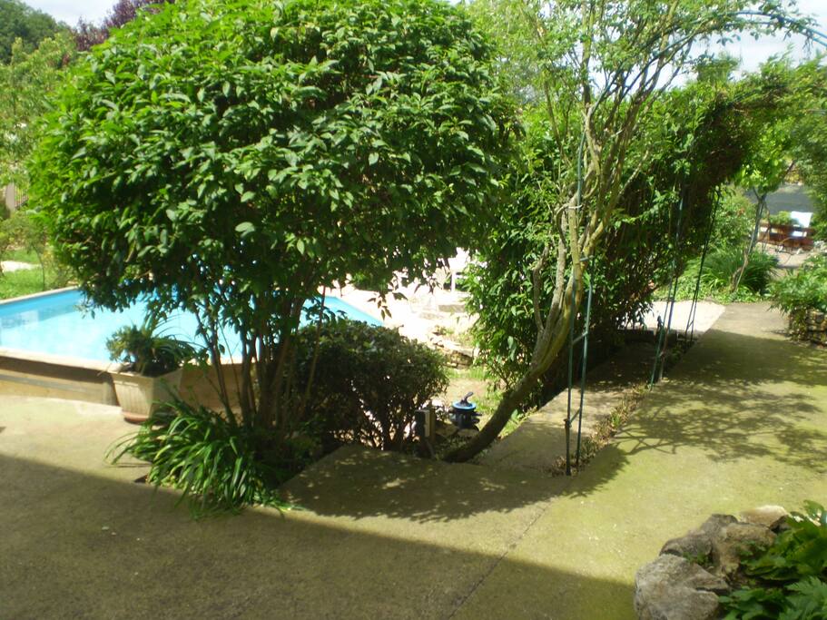 La piscine