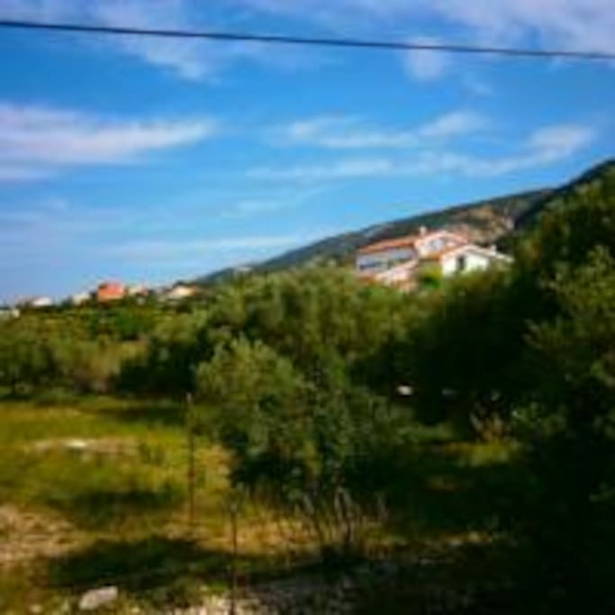 Okolica