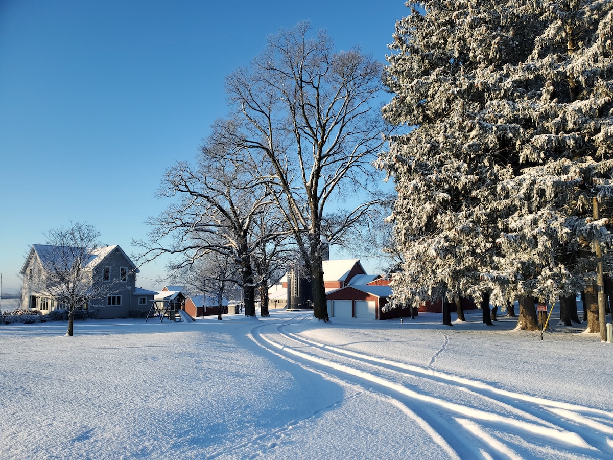 The winter landscape features a historic farmhouse nestled among snow-laden trees, with gentle tire tracks leading to a red barn. The clear blue sky contrasts with the white snow blanketing the ground, creating a serene and peaceful setting.