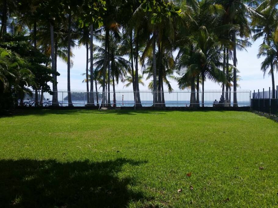 Beach front, front yard