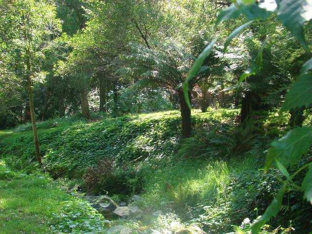 Riverbank Cottage Allenvale gallery image 3