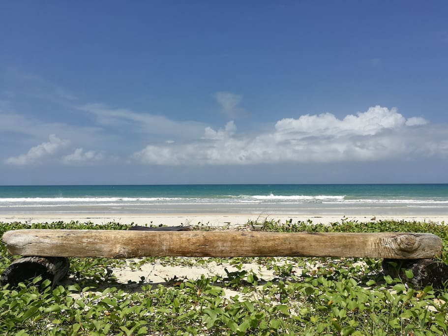 your bench for close up sea waves