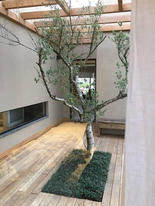 Entrada da Casa