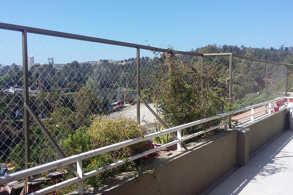 Vista panorámica