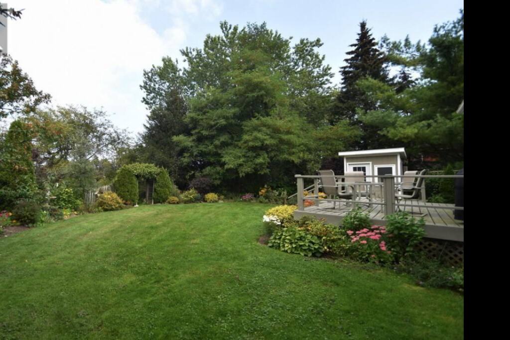 Back Garden