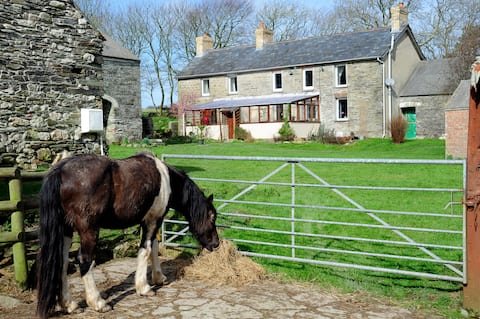 Old Stone Farmhouse in West Wales 2