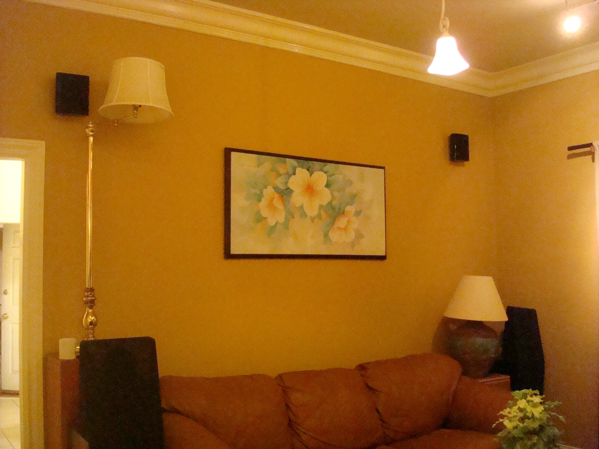Top Airbnb: A RARE CLASSIC IN DOWNTOWN SAN JOSE in Guadalupe / Washington