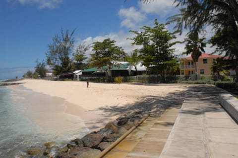 Healthy Horizons Beach Apt#8