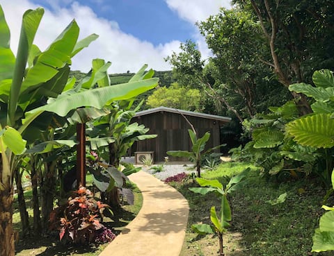 House with vista of banana fields and forests
