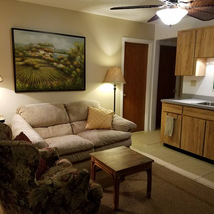 Comfy/cozy living area with kitchenette