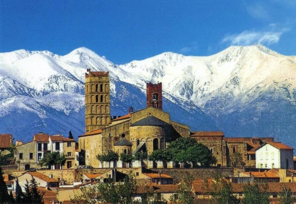 Elne, le cloïtre et le Canigou