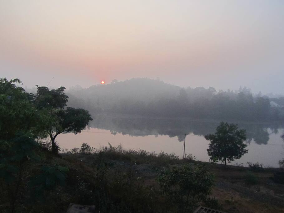 A beautiful sunrise view along with dew and fog!