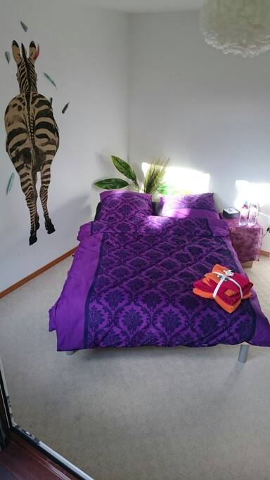 cozy room