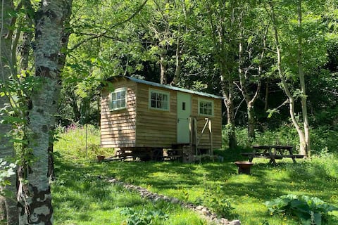 Successful Airbnb property: Cosy Shepherd’s Hut in the Valley of Rocks in Lynton And Lynmouth