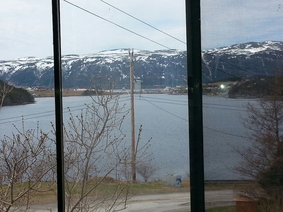 View from a large room, with a pull out couch, fire place and french doors for privacy in the evening.