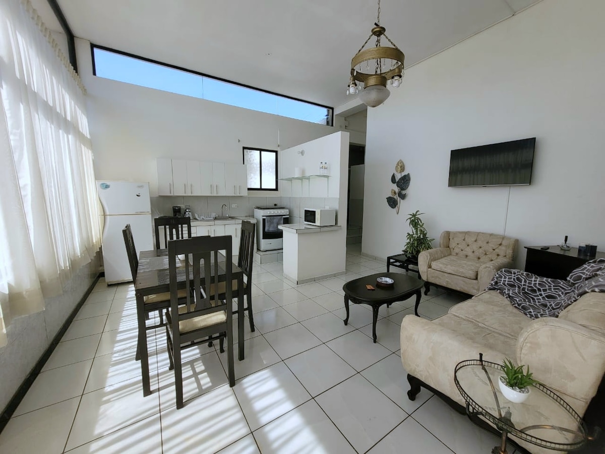 An open-plan living area showcases a dining table with six chairs, a plush sofa, and a low coffee table. Natural light floods the space through large windows, illuminating the modern kitchen equipped with essential appliances. Decorative plants add a touch of greenery.