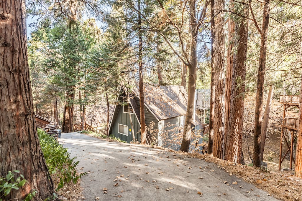 Driveway leading to the Lake House with ample parking