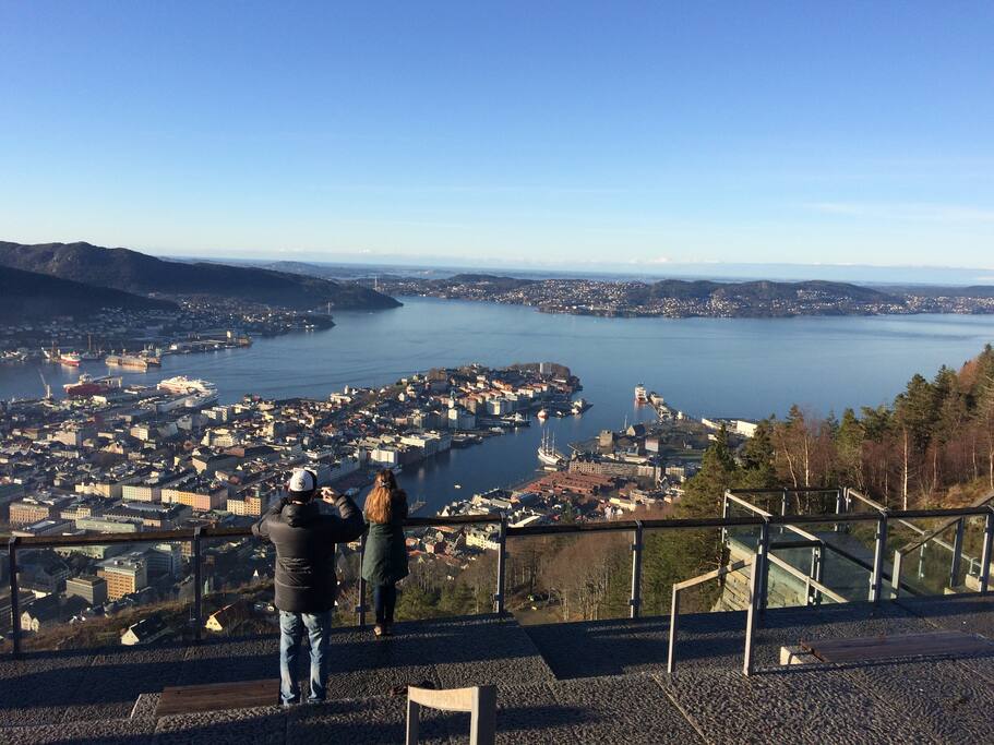 view from Bergen
utsikt fra Fløyen