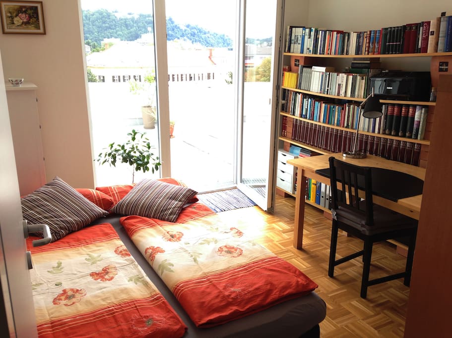 sehr helles Zimmer mit Sofabett (140x200) für 1 oder 2 Gästen mit direkten Zugang zur Terrasse (45m2) und Schlossberbblick.
