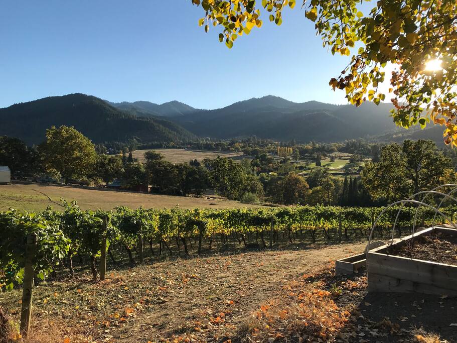Views of Wagner Creek Valley