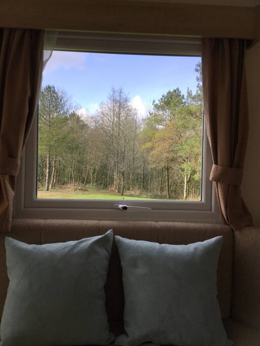 Lounge view