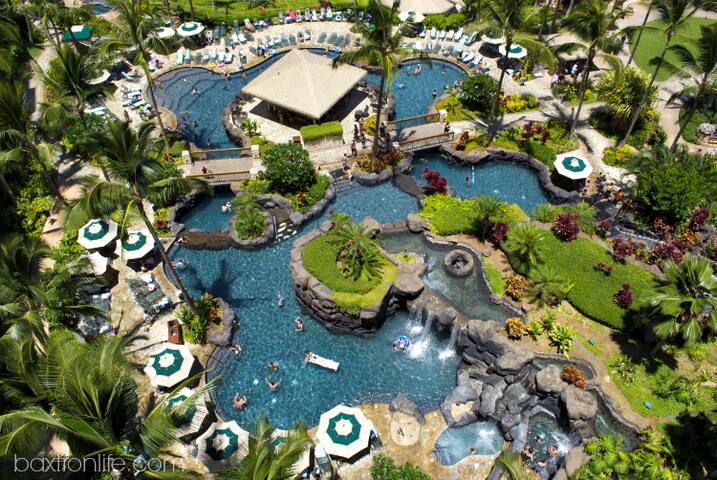 Luxury Ocean View Condo and Resort gallery image 4