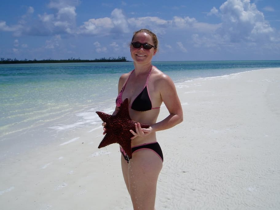 Seastar of the Sand Bank at low tide.